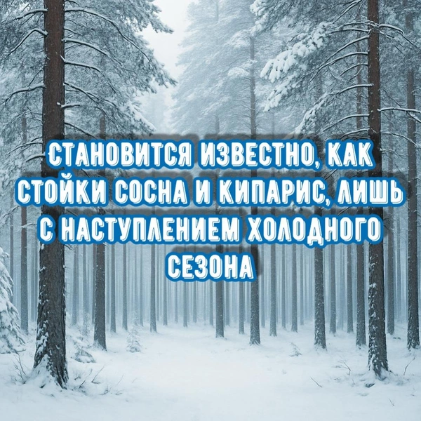 конфуций, конфуций цитаты, жизнь конфуция, учение конфуция, высказывания конфуция, философия конфуция, открытки с конфуцием | Источник: theDay/DALL-E