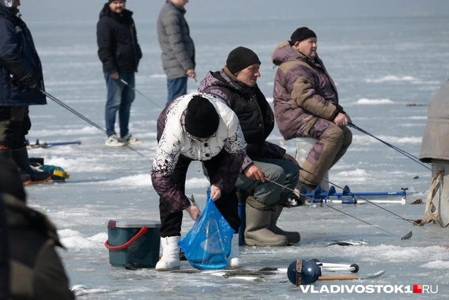 Источник: Елена Буйвол / VLADIVOSTOK1.RU