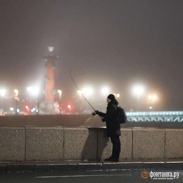 Источник: Валентин Егоршин / «Фонтанка.ру»