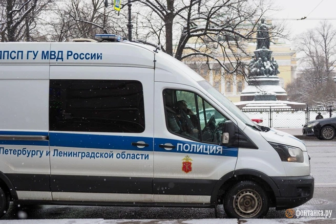 Источник: Андрей Бессонов/«Фонтанка.ру»