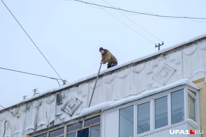В первый день — всеобщая чистка | Источник: Булат Салихов / UFA1.RU