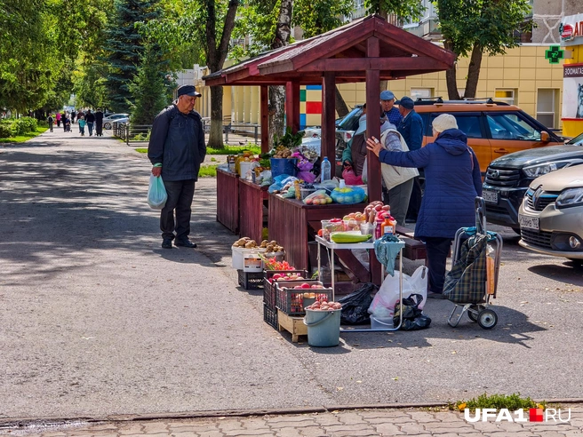 Выбор богатый, но всегда самый выгодный | Источник: Булат Салихов / UFA1.RU