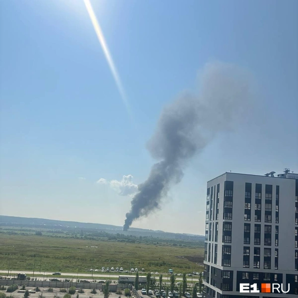 Источник: читатель E1.RU