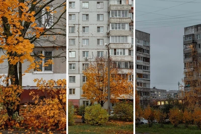 Осень в Брагино: серые панельки в золотых красках