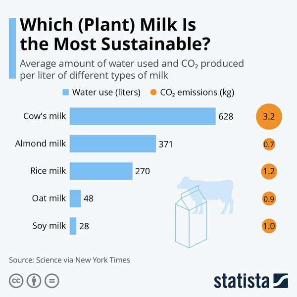 Растительное молоко: дань моде или экологичная замена привычному продукту