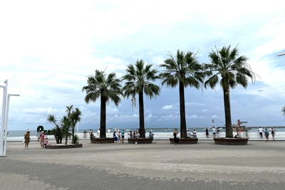 Вечерние учебные стрельбы пройдут в порту Сочи