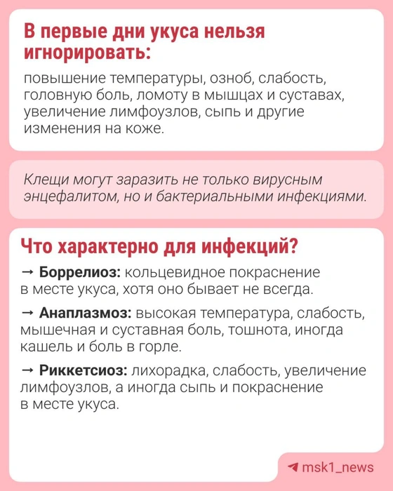 Источник: Городские медиа