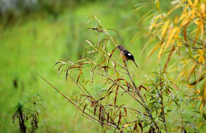 Источник: Евгений Епанчинцев