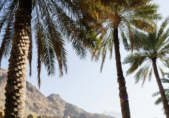 Если в кране нет воды: афладж как центр жизни в Омане