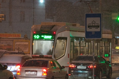 Власти Ростова сохранили тарифы на электротранспорт