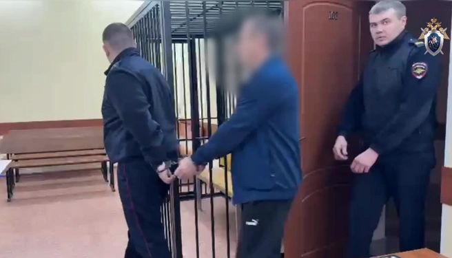 Обвиняемый находится в СИЗО | Источник: СУ СК России по Тульской области