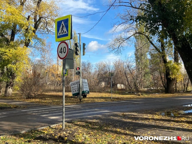 Источник: Дмитрий Волгин / Voronezh1.ru