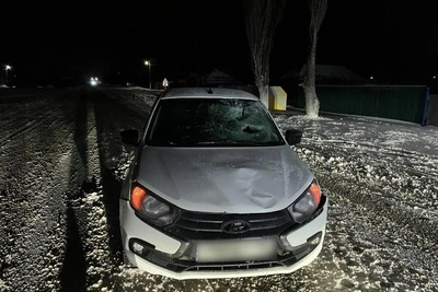 В Воронежской области «Лада-Гранта» насмерть сбила пешехода