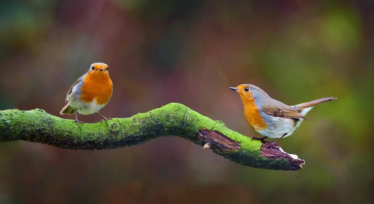 Источник: Shutterstock/Fotodom.ru