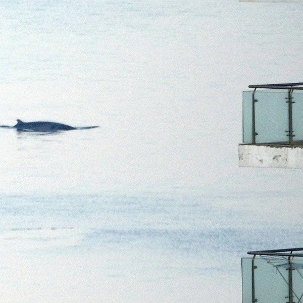 Источник: Игорь Бессараб / SHKOTA NEWS