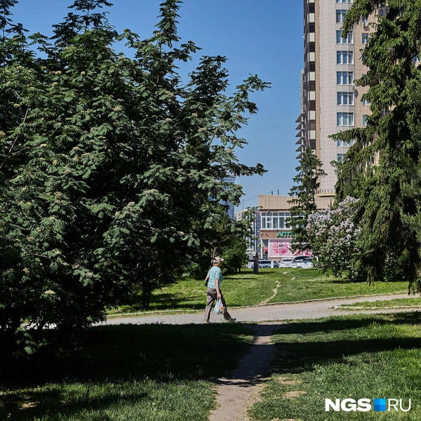 Территория сквера «Московский» совсем не оправдывает свое громкое название | Источник: Александр Ощепков / NGS.RU