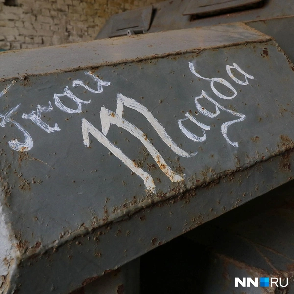 Имя машины | Источник: Наталья Бурухина / NN.RU
