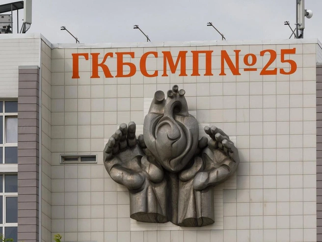 В этой же больнице проходят лечение родители мальчиков. | Источник: Алексей Волхонский / V1.RU