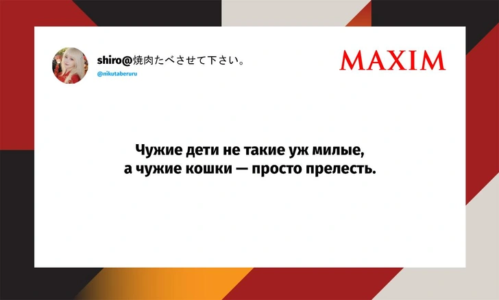 Самые смешные шутки пятницы и «Nero Burning ROM» | Источник: X (Twitter)