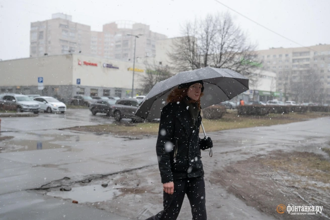 Когда ожидать непогоды? | Источник: Андрей Бок / FONTANKA.RU