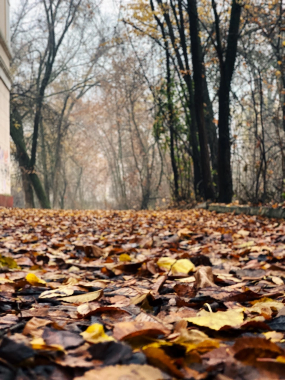 Источник: Юлия Воропаева