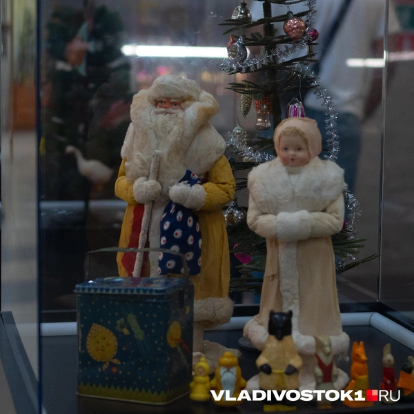Источник: Елена Буйвол / VLADIVOSTOK1.RU