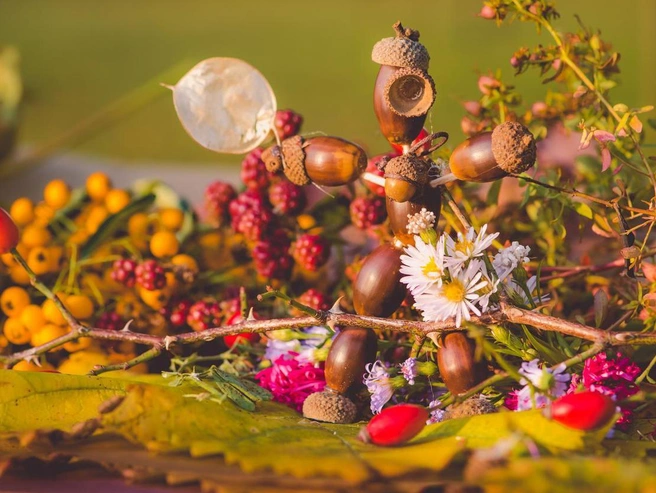 Осенний праздник Ефимий Осенний 28.10 | Источник: istockphoto/KatarinaGondova