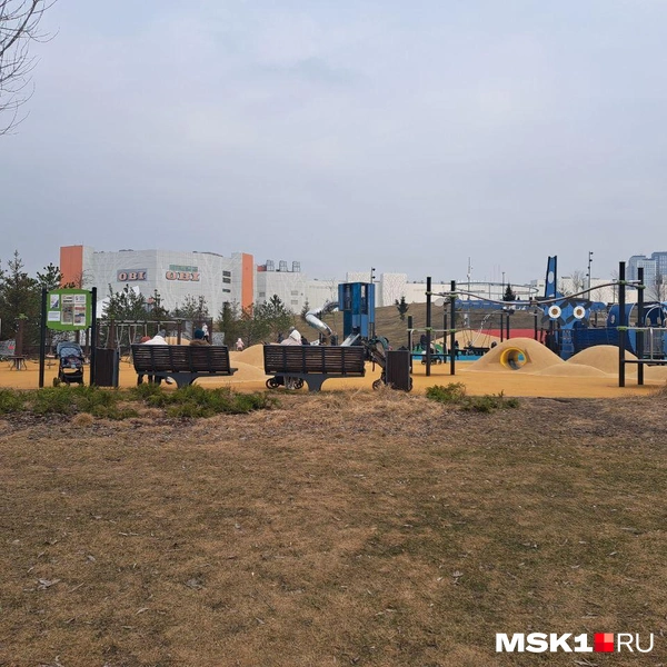 Источник: Арина Майорова / MSK1.RU