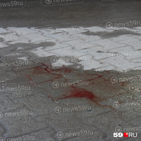 В луже после дождя осталась и размытая кровь пострадавшего от стрельбы | Источник: Кирилл Хафизов / 59.RU