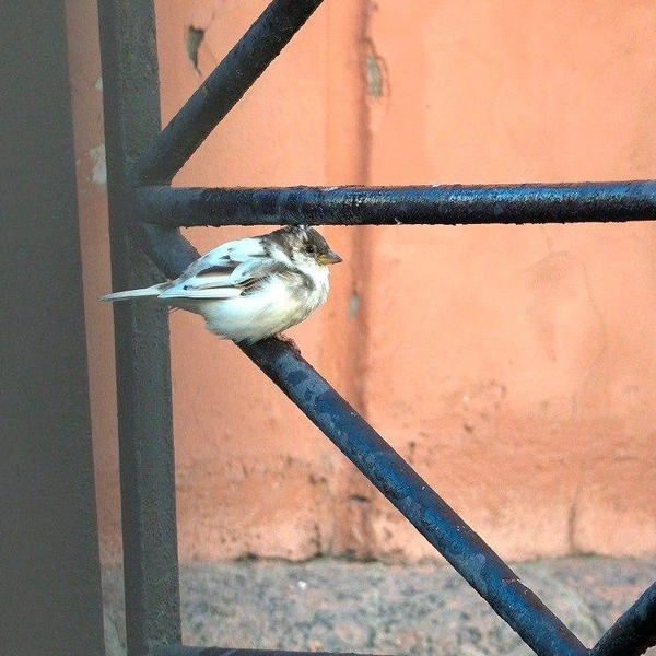 Источник: Павел Глазков / «Каждой твари по паре»