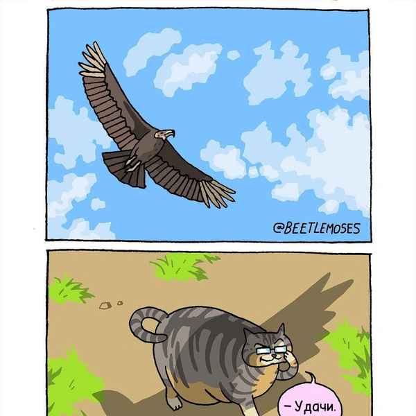 Источник: соцсети