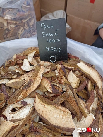 Источник: Иван Митюшёв / 29.RU