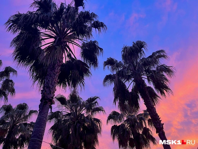 Куда жителю Кузбасса улететь в отпуск в ноябре: как купить горящий тур - NGS42