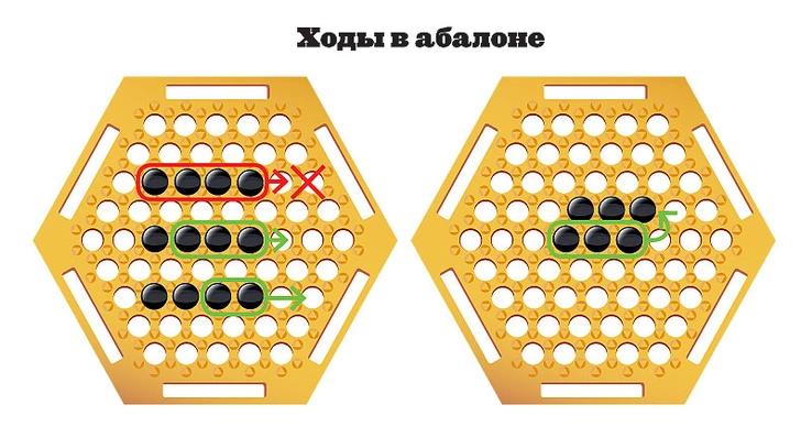 Борьба с умом: как играть в абалон — настольную игру, в которой на доске бьются как на ринге