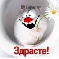 Аватарка LadyL