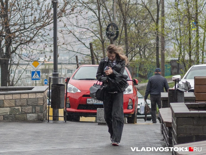 Ветер может разогнаться до 25 метров в секунду | Источник: Елена Буйвол / VLADIVOSTOK1.RU
