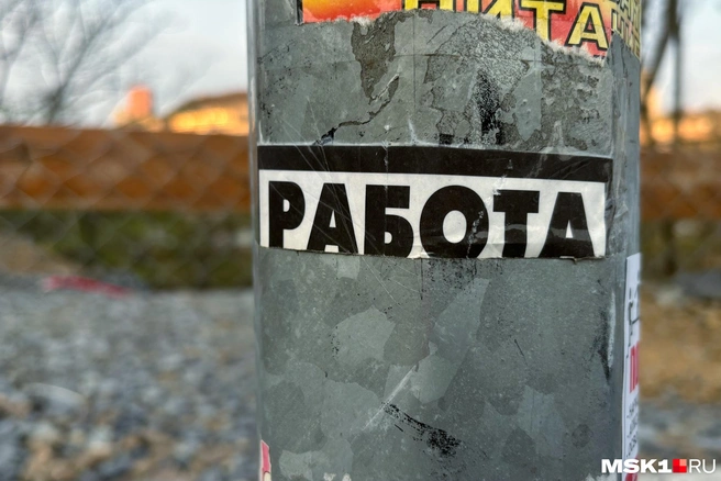 Работодатель должен искать подход к каждому соискателю | Источник: Артем Устюжанин / MSK1.RU