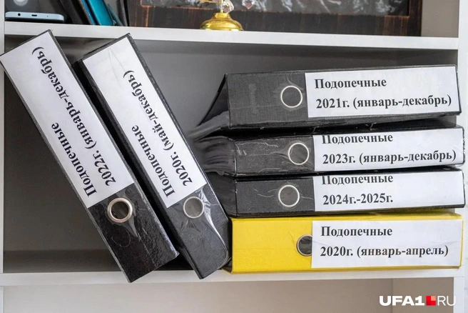 Официально фонд работает с 2018 года, но как волонтерская группа&nbsp;— около 20 лет | Источник: Булат Салихов / UFA1.RU