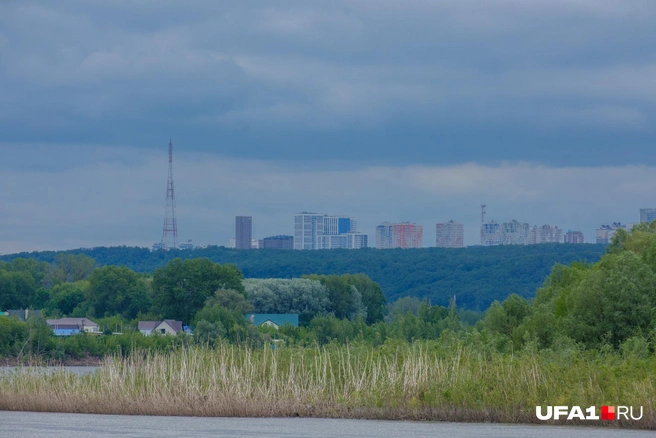 Силуэты проспекта | Источник: Булат Салихов / UFA1.RU
