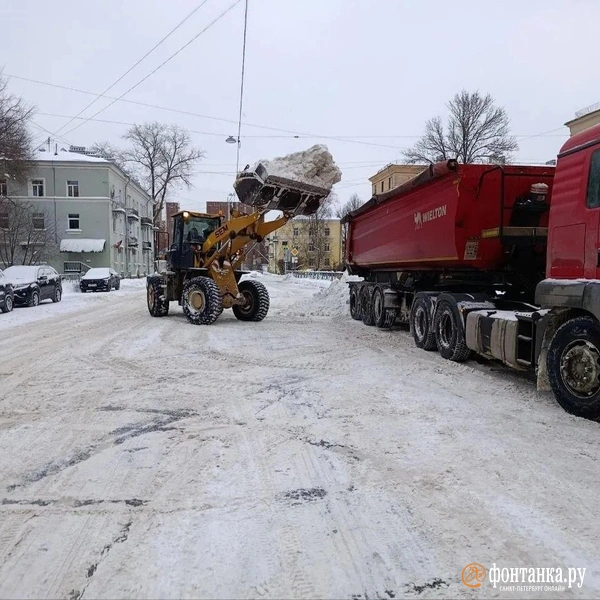 Источник: Комитет по благоустройству
