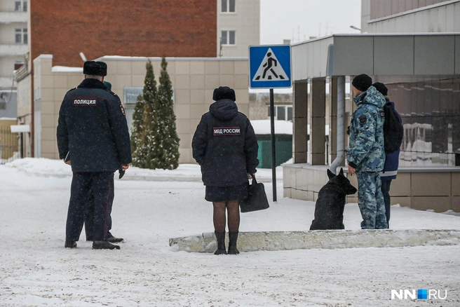 Сотрудники спецслужб быстро приехали на вызов | Источник: Наталья Бурухина / NN.RU