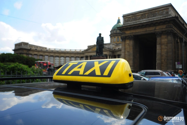 Змея, ребенок и спутница. Самое необычное, что россияне забывали в такси