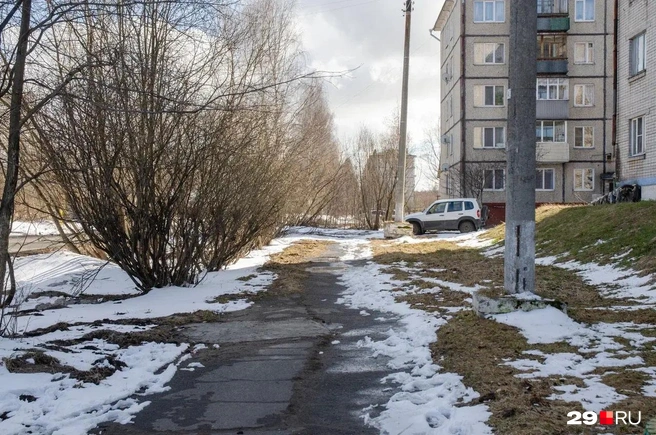 Источник: Александр Тонких