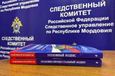 В Саранске возбуждено дело после схода снега с крыши