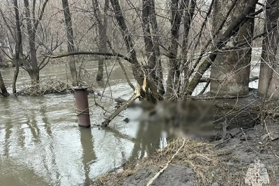 В Туле утонул 52-летний мужчина