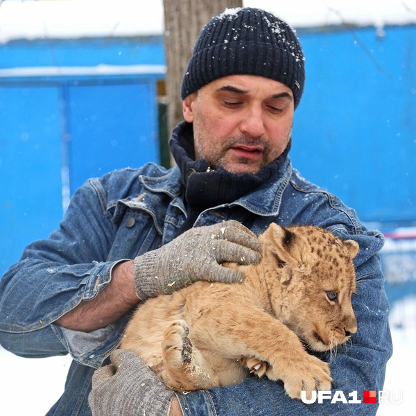 Источник: Тимур Шарипкулов / UFA1.RU