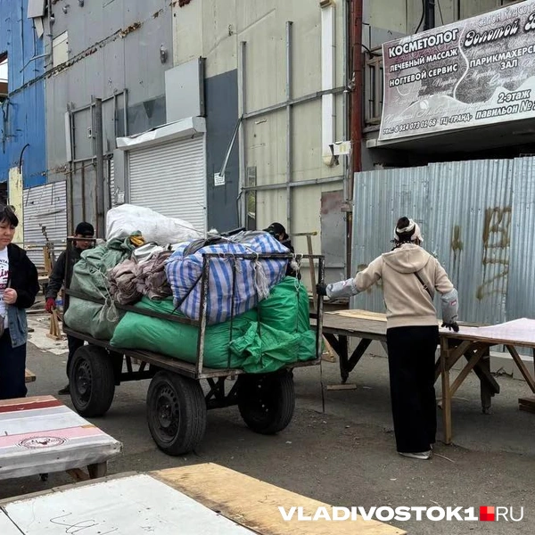 Источник: Елена Буйвол / VLADIVOSTOK1.RU