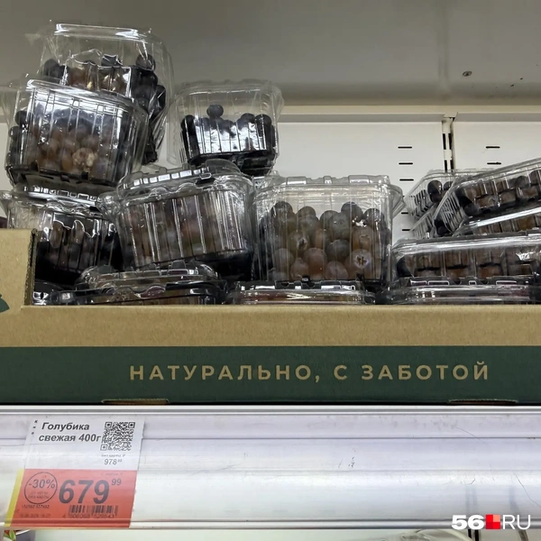 Цены на голубику | Источник: Николай Сальников / 56.RU