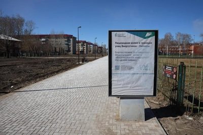 Омичи раскритиковали благоустройство Аллеи Славы