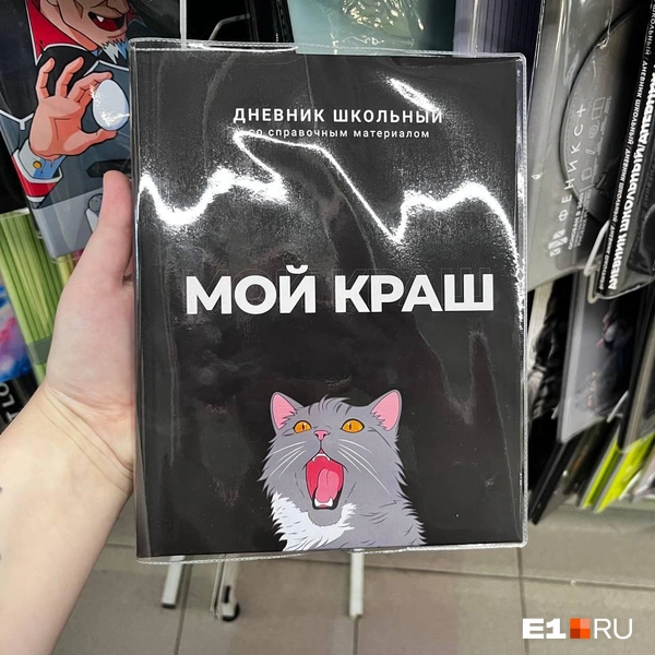 Клава Кока бы ценила такой дневник (стоит он, кстати, 265 рублей) | Источник: Ксения Мельникова / E1.RU
